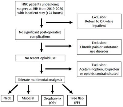 Peri-Operative Pain and Opioid Use in Opioid-Naïve Patients Following Inpatient Head and Neck Surgery
